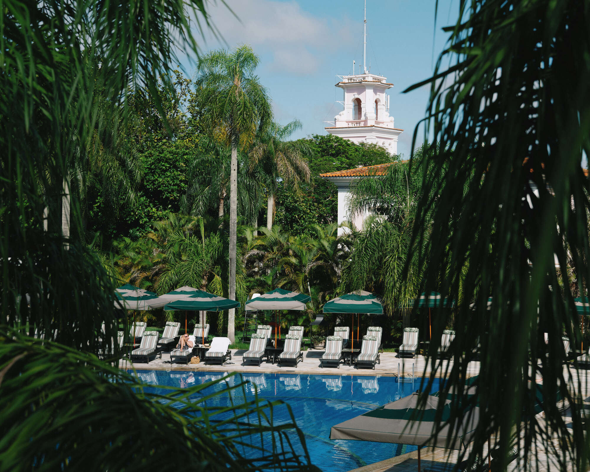 Main pool framed by palms and the hotel tower